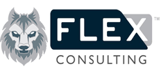FLEX Consulting